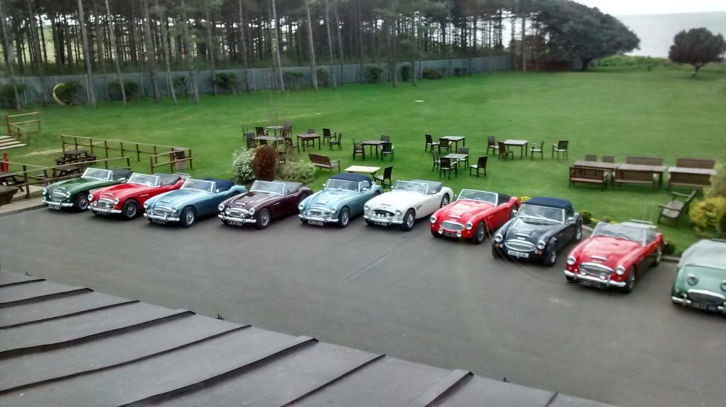 6 Austin Healey cars