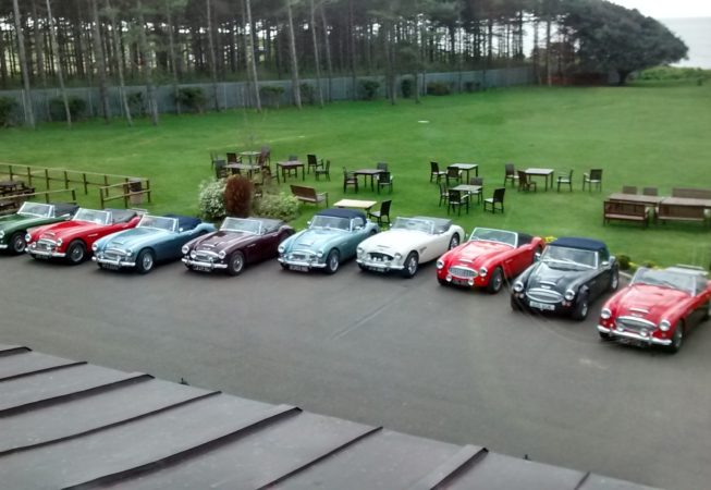 6 Austin Healey cars