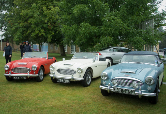 3 Austin Healey cars