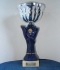 The Why Me Trophy
